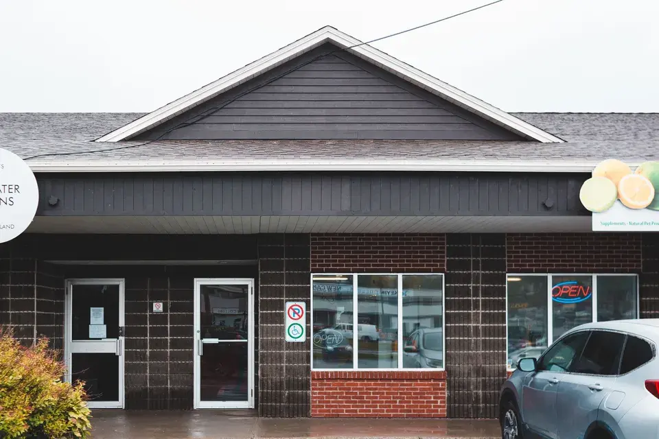 Exploring Alliston, ON, United States in Alliston